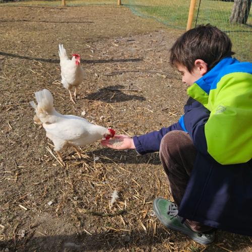 Tierische Therapeuten