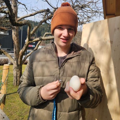 Tierische Therapeuten