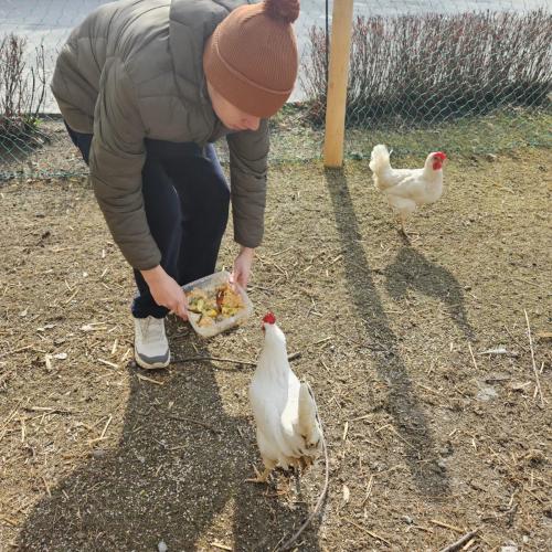 Tierische Therapeuten